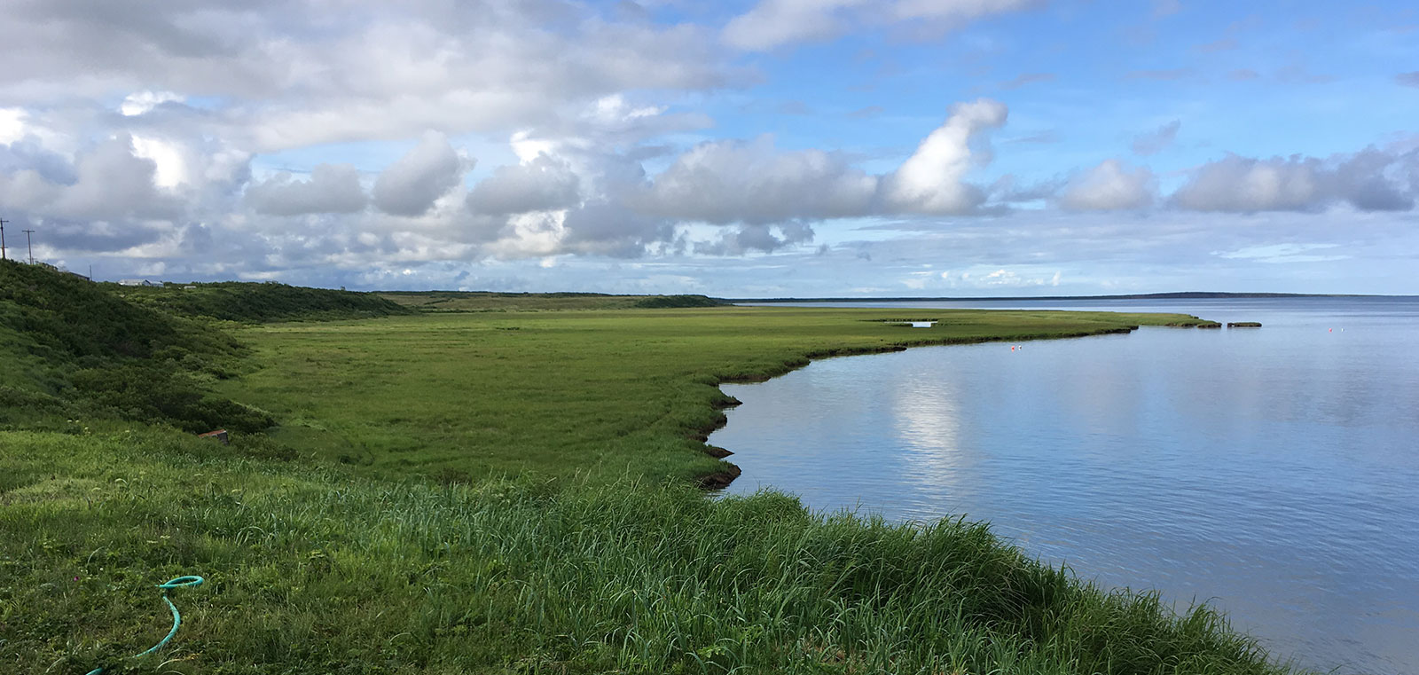 Landscape photo - grass with water